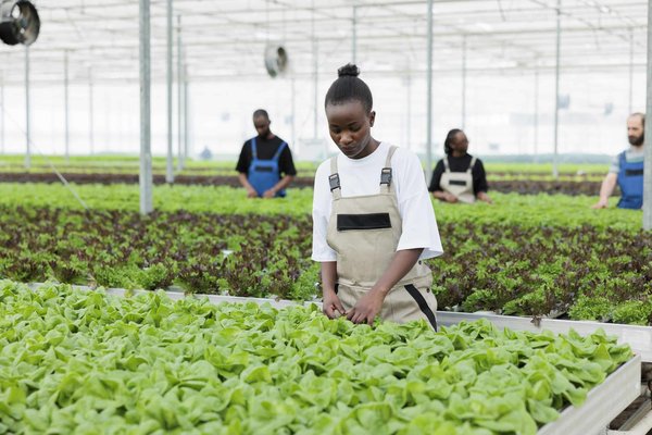Quelle a été la méthode de construction utilisée pour la canopée des Halles ?