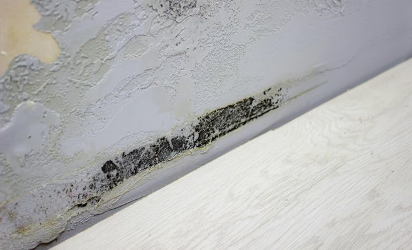 Comment prévenir les problèmes de moisissure après des travaux d'humidité ?