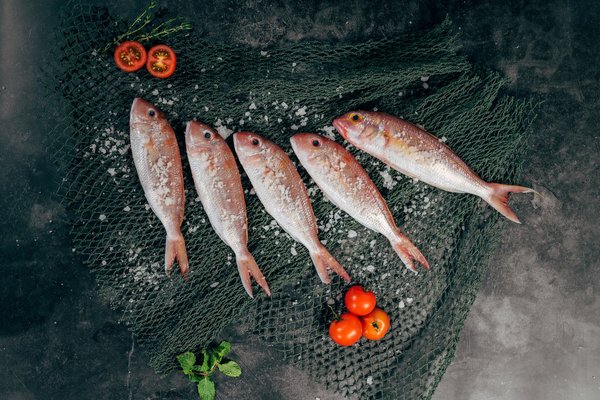 Les poissons : Espèces fascinantes, bienfaits nutritionnels et recettes savoureuses