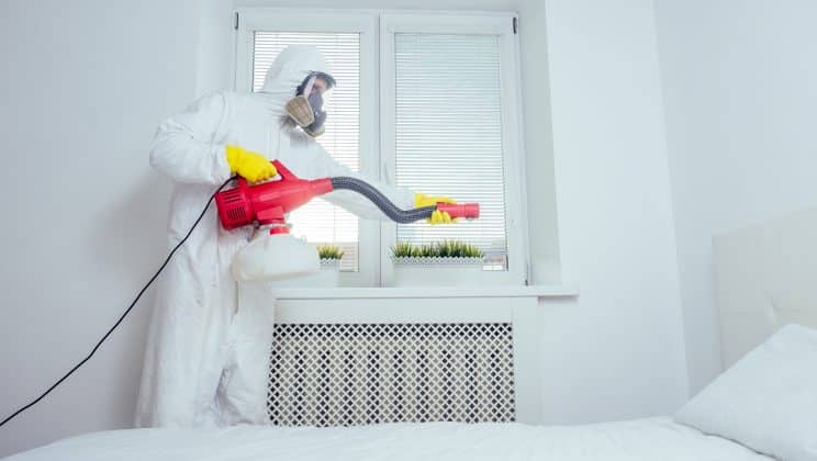 Pourquoi choisir un matelas anti-punaise ?