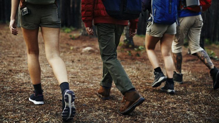 Quelles sont les activités culturelles à ne pas manquer près des campings de Royan ?